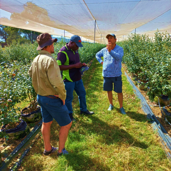 Picture-10-grow-agriculture